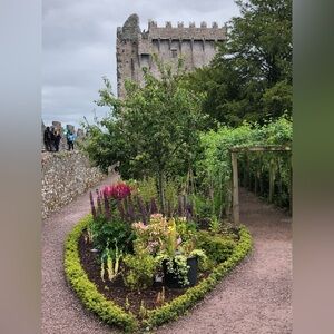 Meet your Posher, Ann